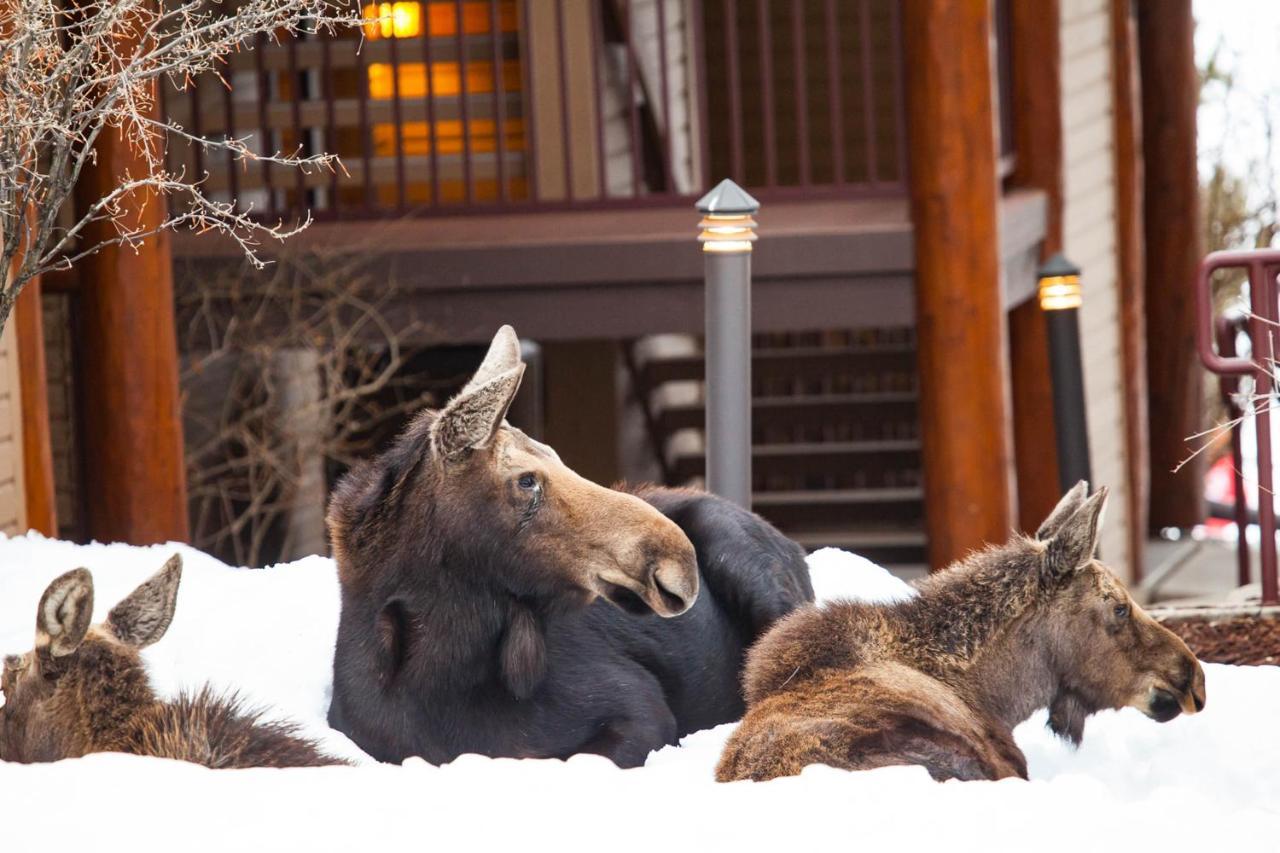 Villa Antlers Steamboat Springs Exterior foto